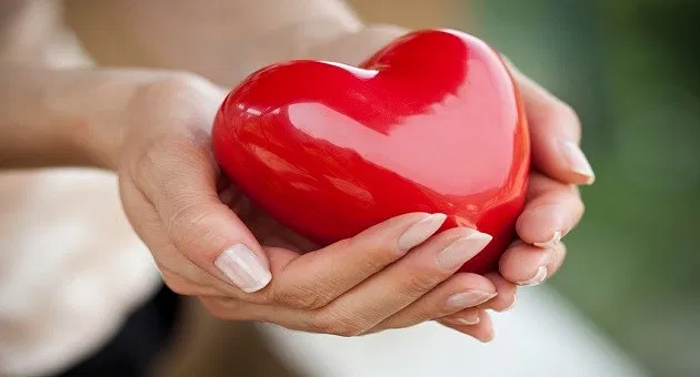 The Science Behind Heart Risk Factors to Add to Your Routine